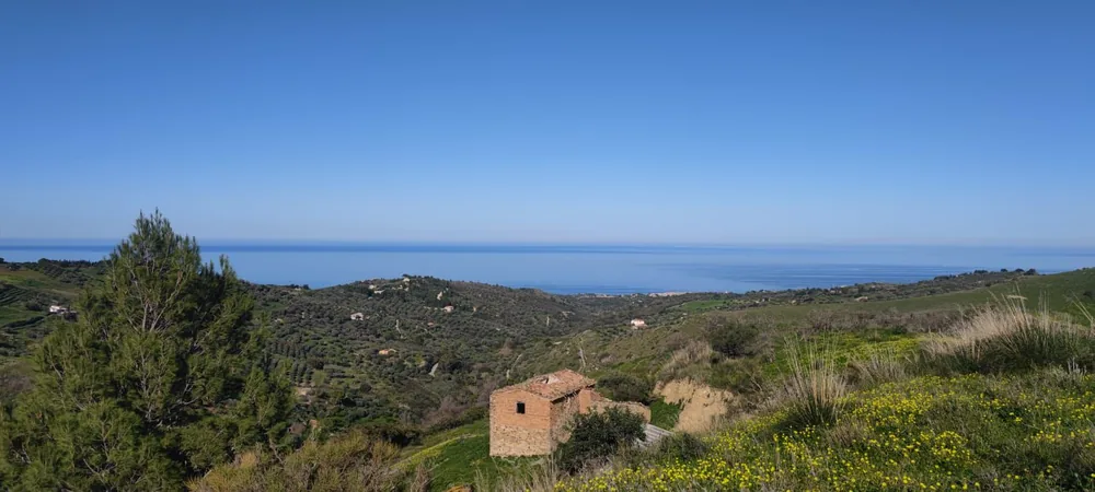 Terreni e oliveti delle Madonie affacciati sul mare